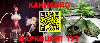 PSILOCYBIN Сланцы
