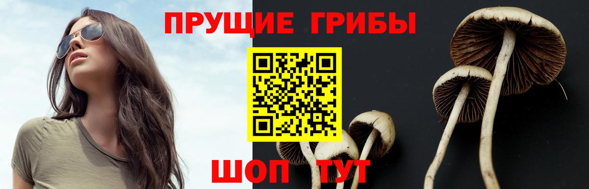 Псилоцибиновые грибы мицелий Орск