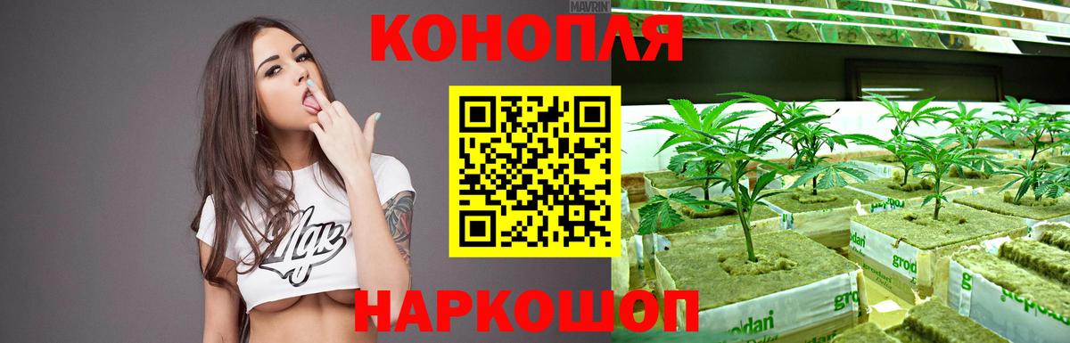 Орск  Канабис VHQ  Вход с VPN  МАРИХУАНА Ganja  Шишки марихуана VHQ 